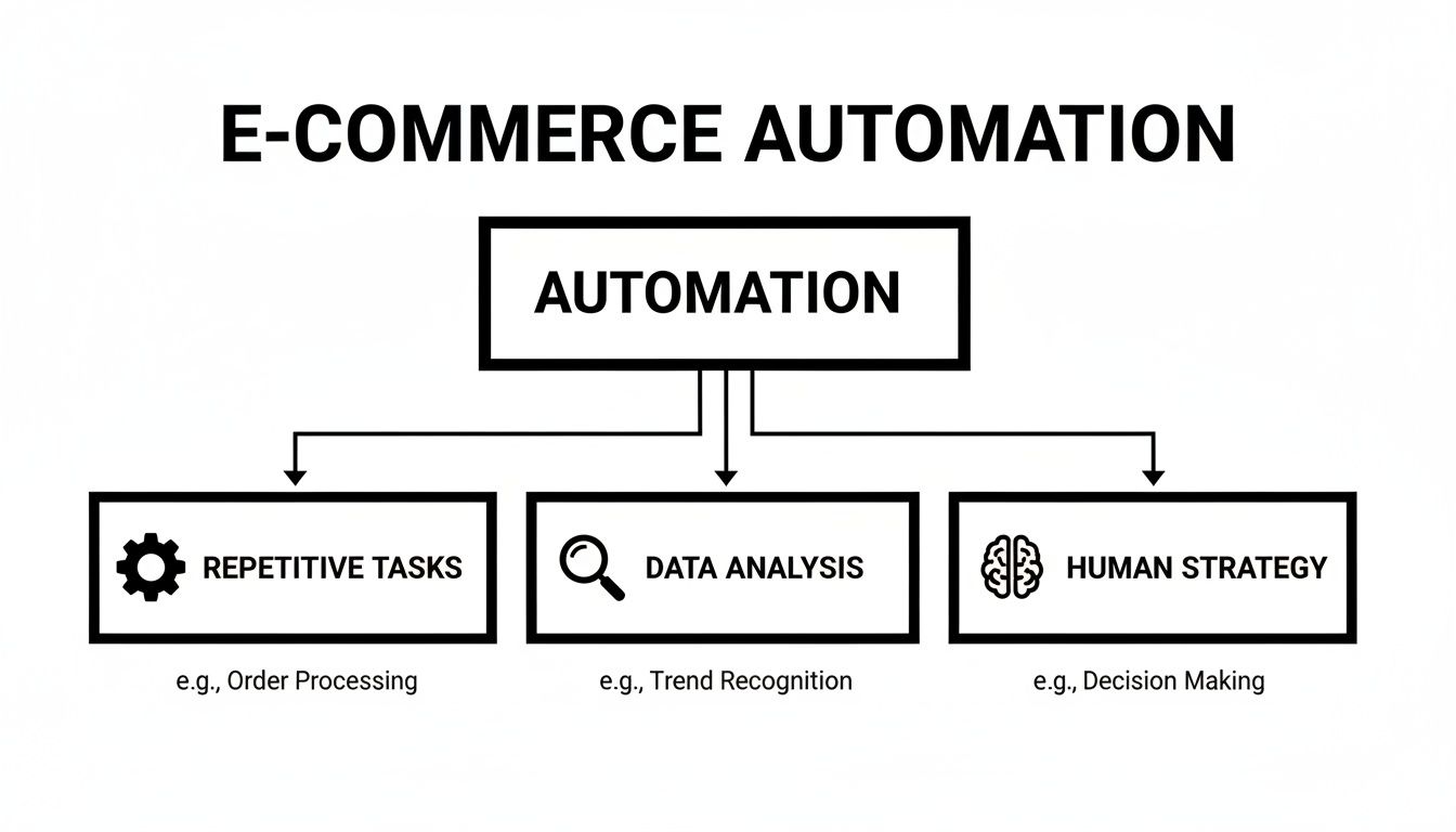 Flowchart detailing E-commerce Automation, showing it handles repetitive tasks, data analysis, and human strategy.