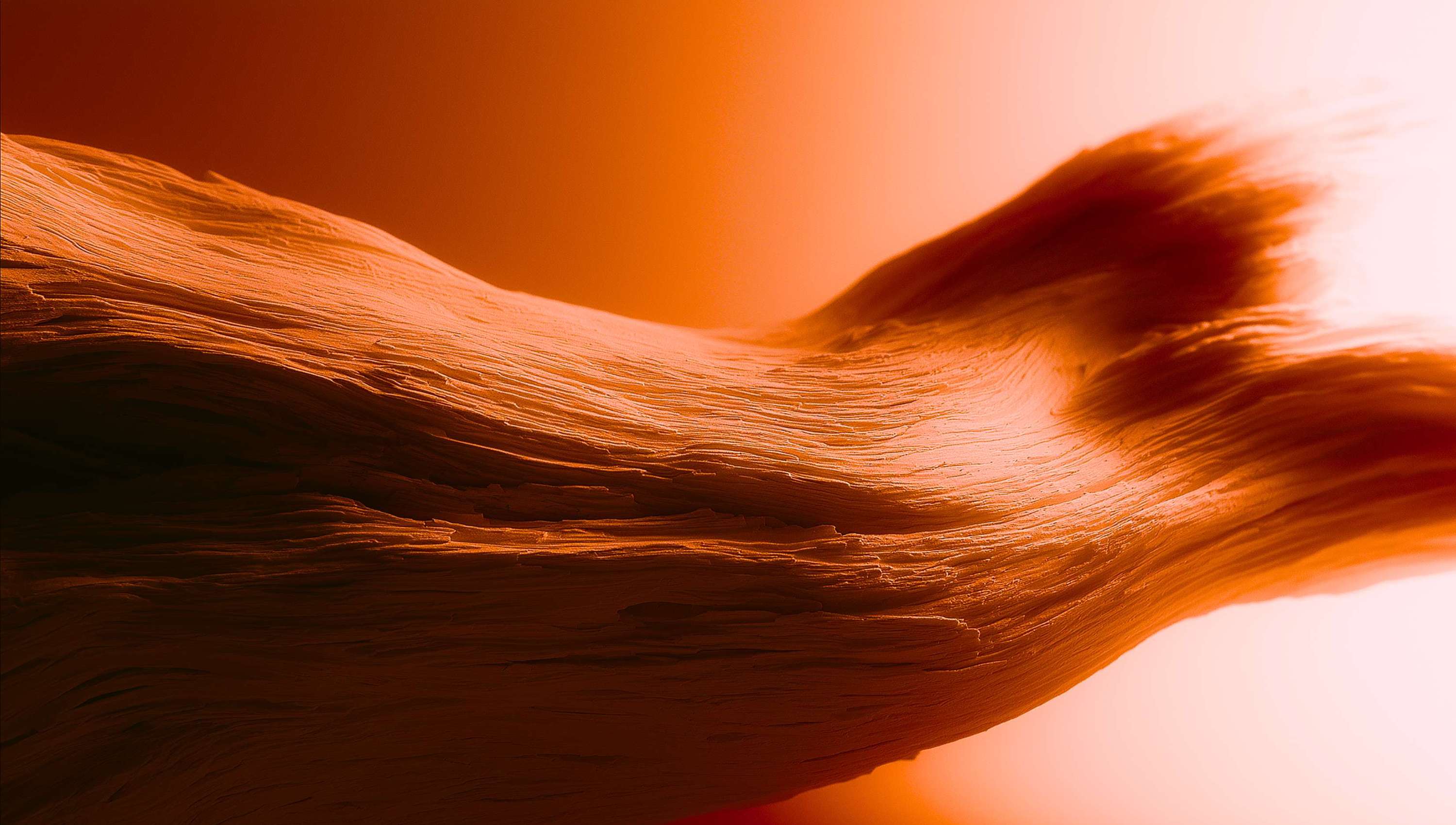An artistic rendering of a wooden log