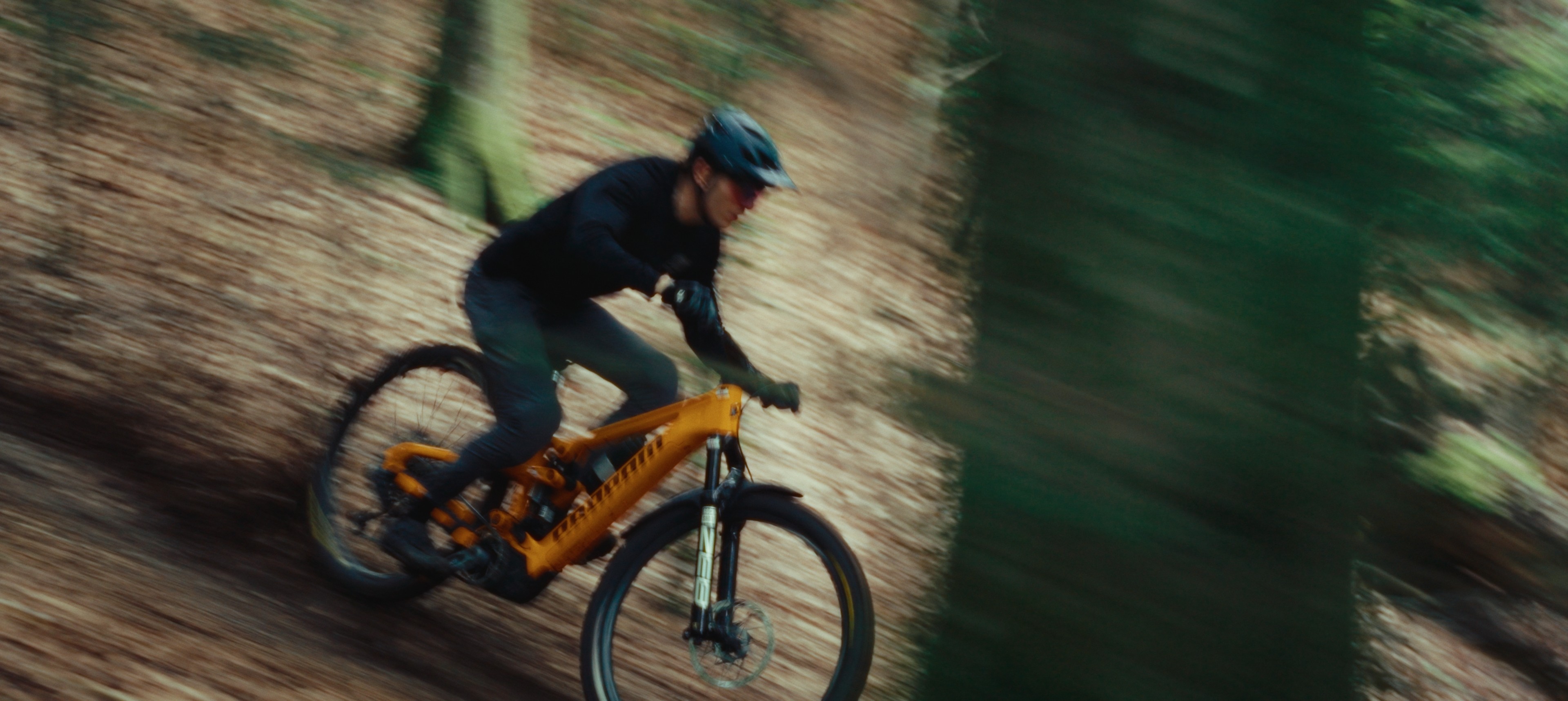 Cable Kamera durch den Wald bei Ravensburg