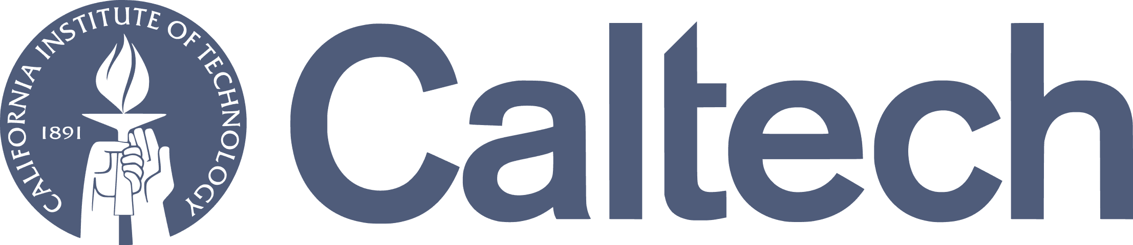Logo 1