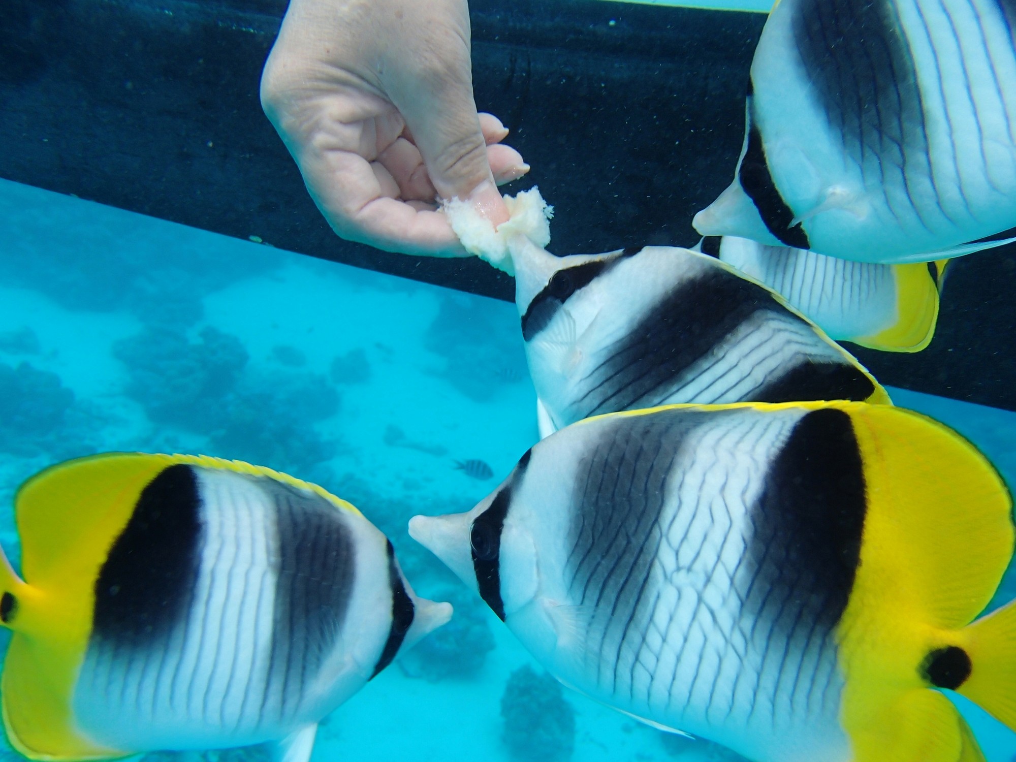 a street lined with stone buildings next to a lush green forest