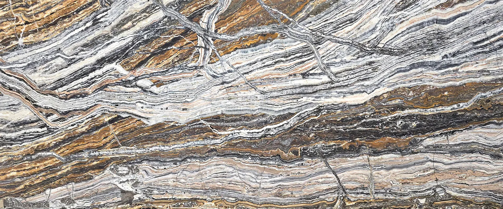 Dark Karmania Traonyx