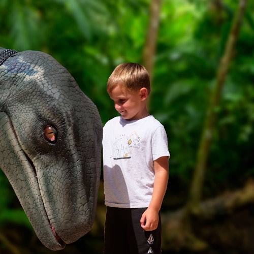 Tierra de Dinosaurios