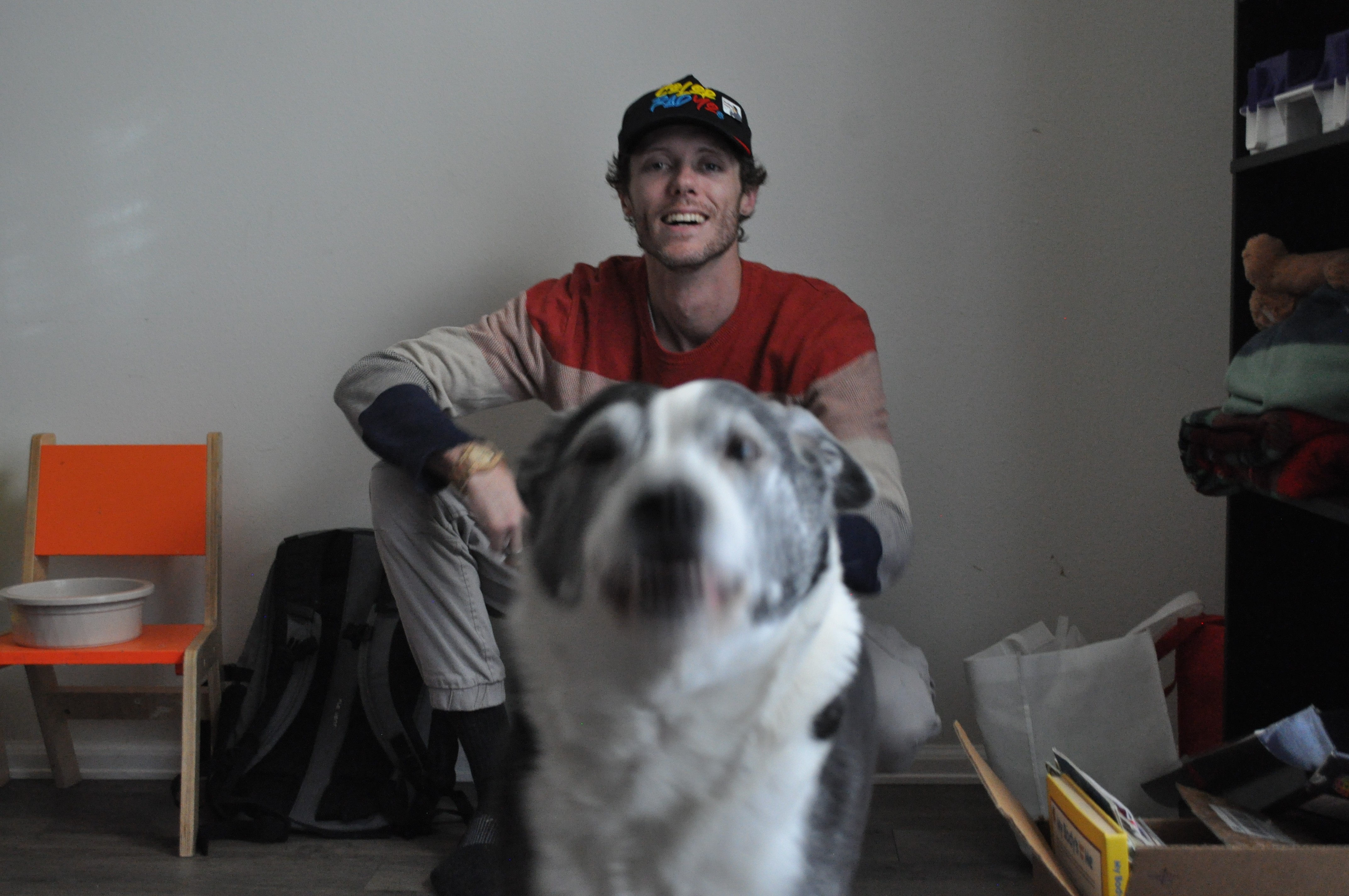 Still Image of a video capture with a dog