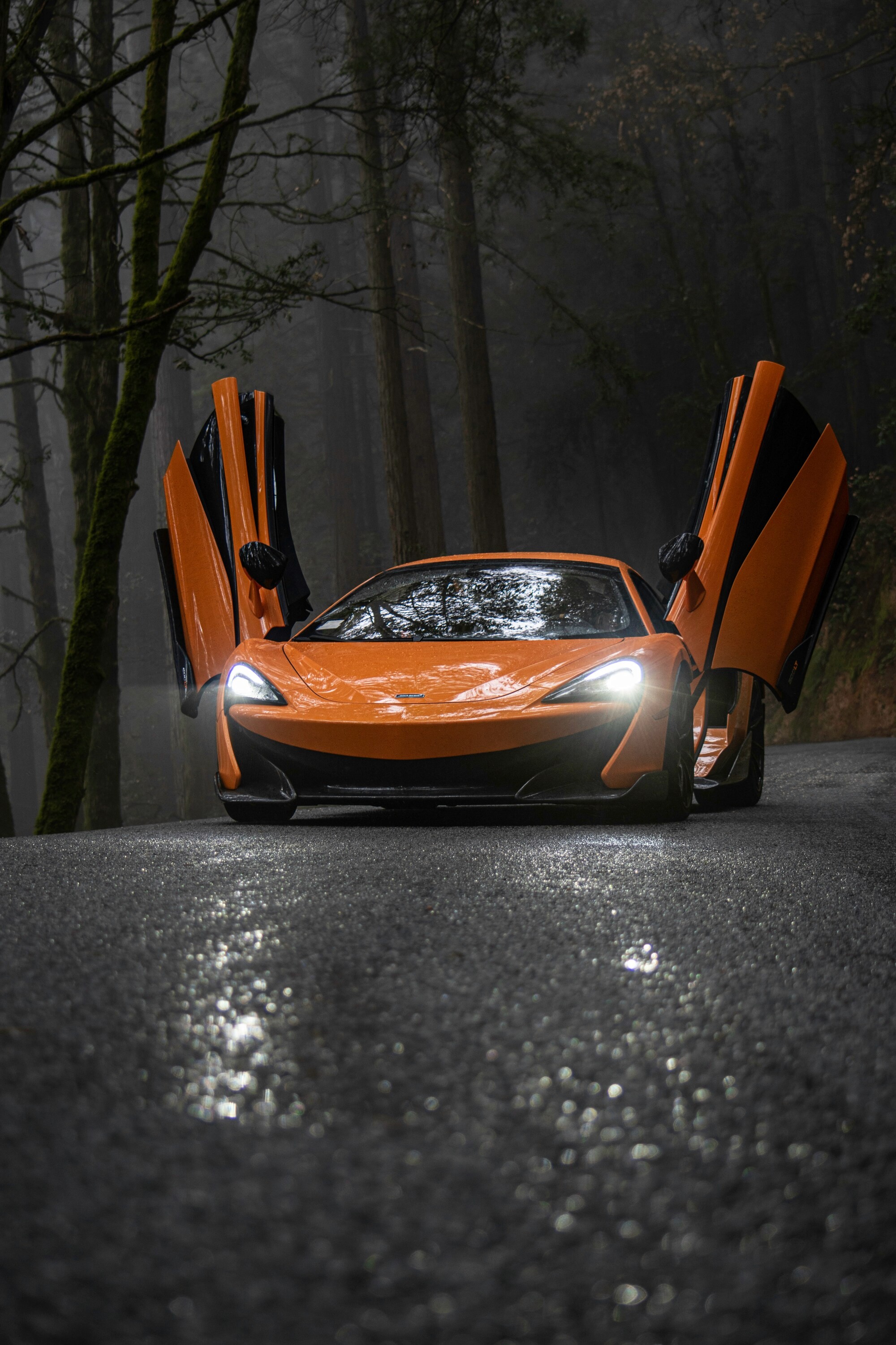 An orange sports car with upward-opening doors is parked on a wet, misty forest road, surrounded by tall trees.