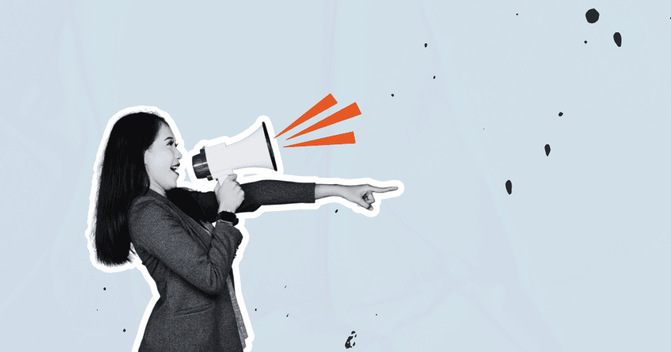 voice-of-the-customer-program