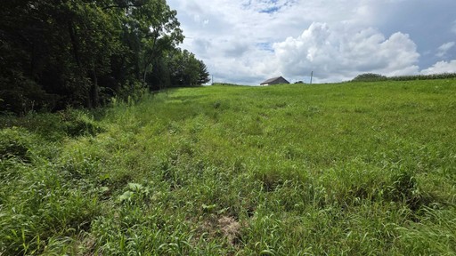 Photo 12 of 4795 Steiger Lane, Waterloo