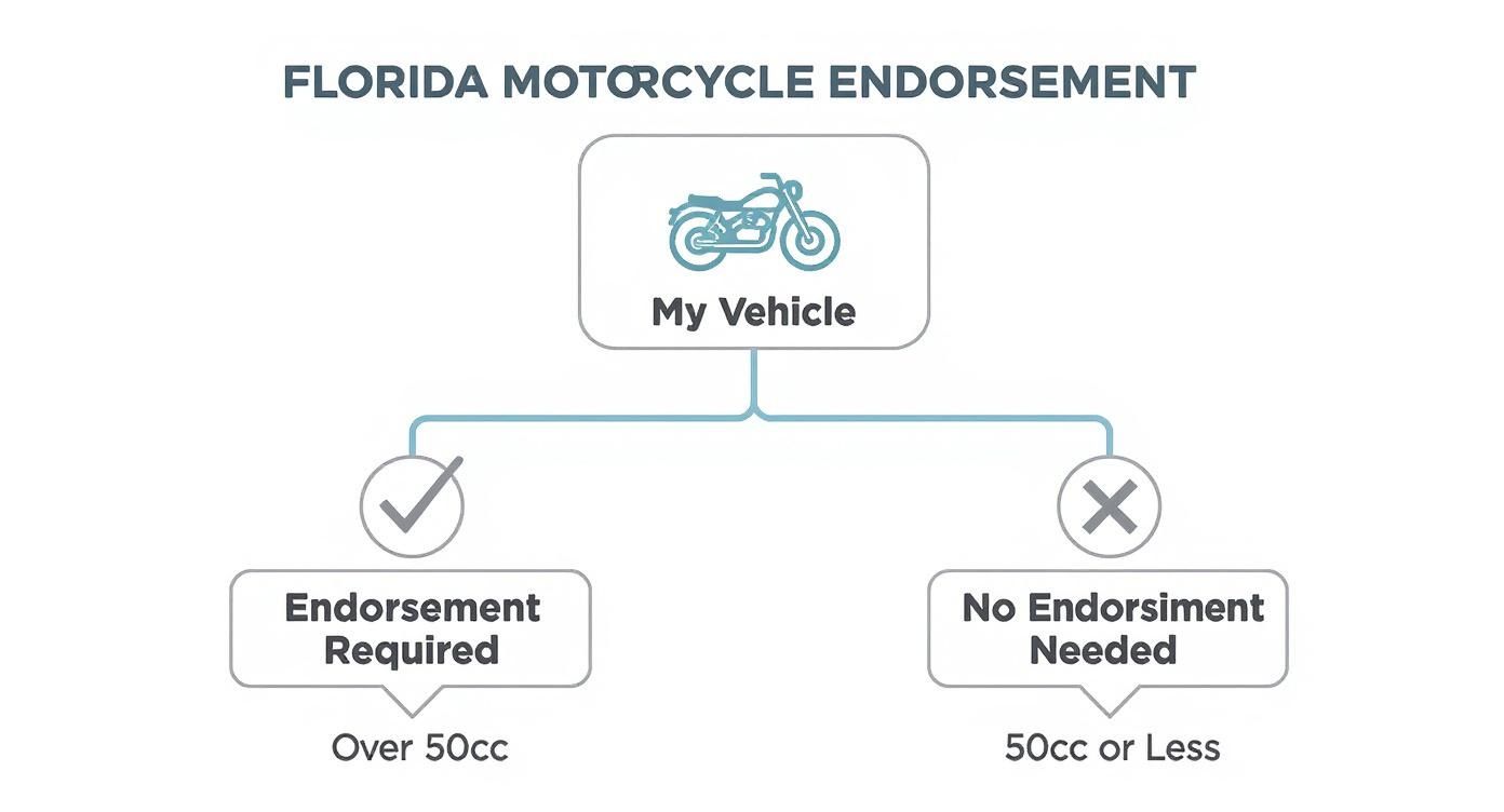 Infographic about i need a motorcyle endorsement