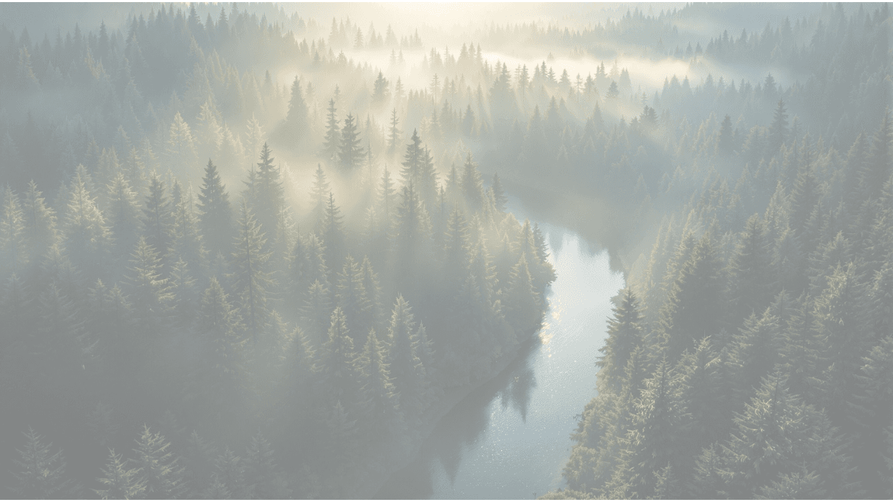 A person with long hair stands against a bright, hazy background, reaching out with one hand.