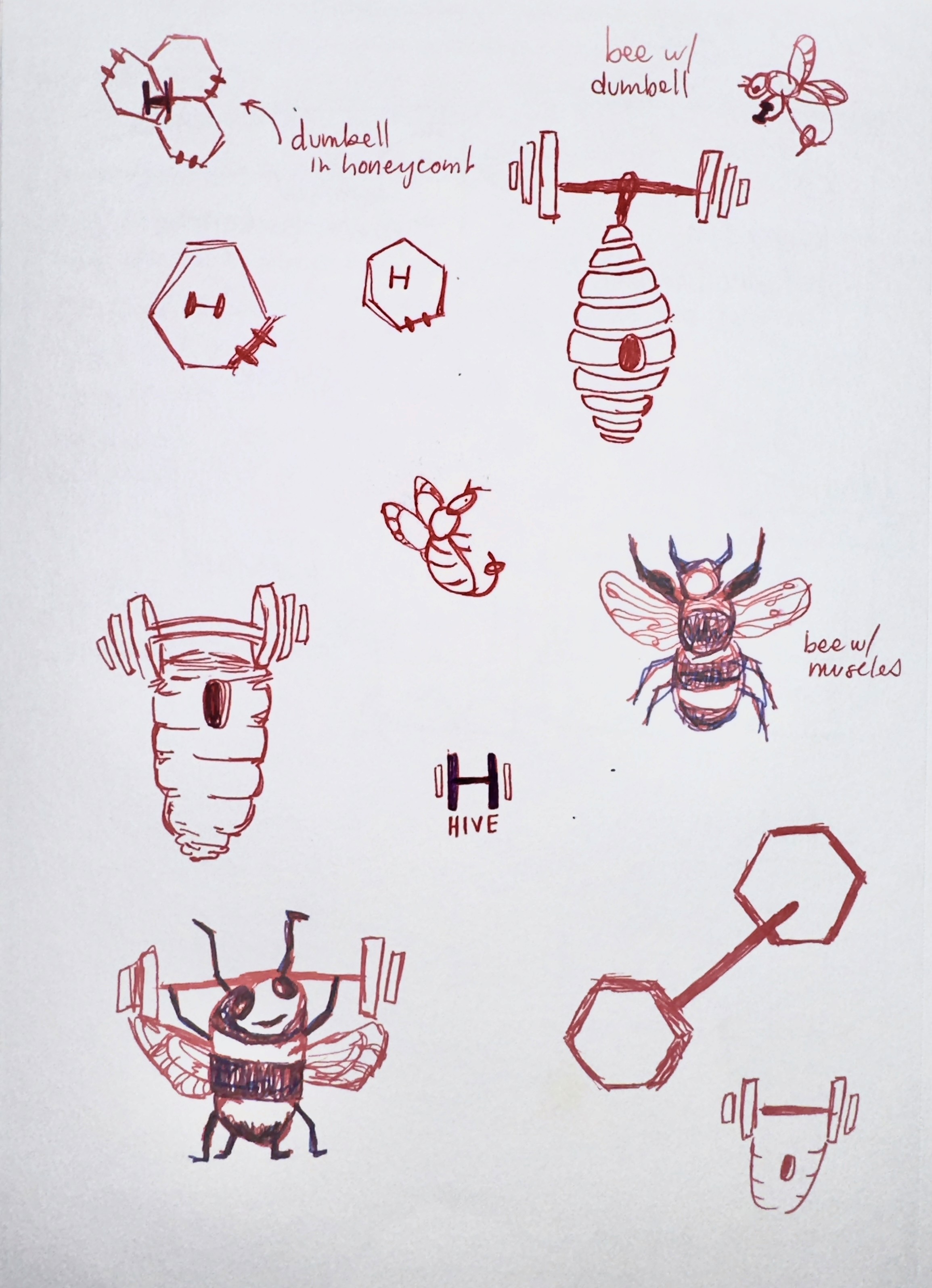 brainstorming for Hive's logo, photo of a sketchbook