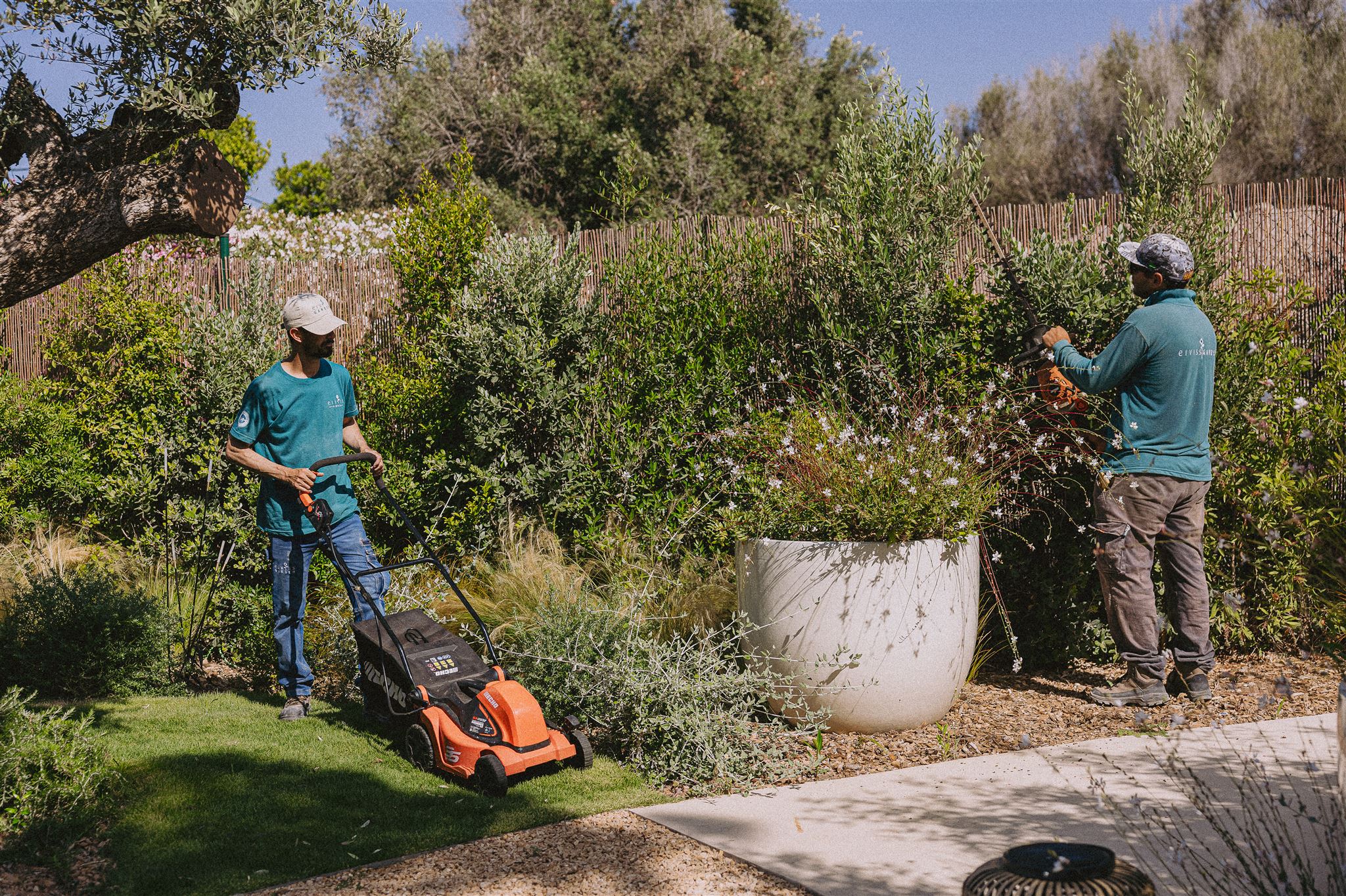 Eiviss Garden  