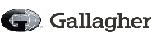Gallagher ai Logo