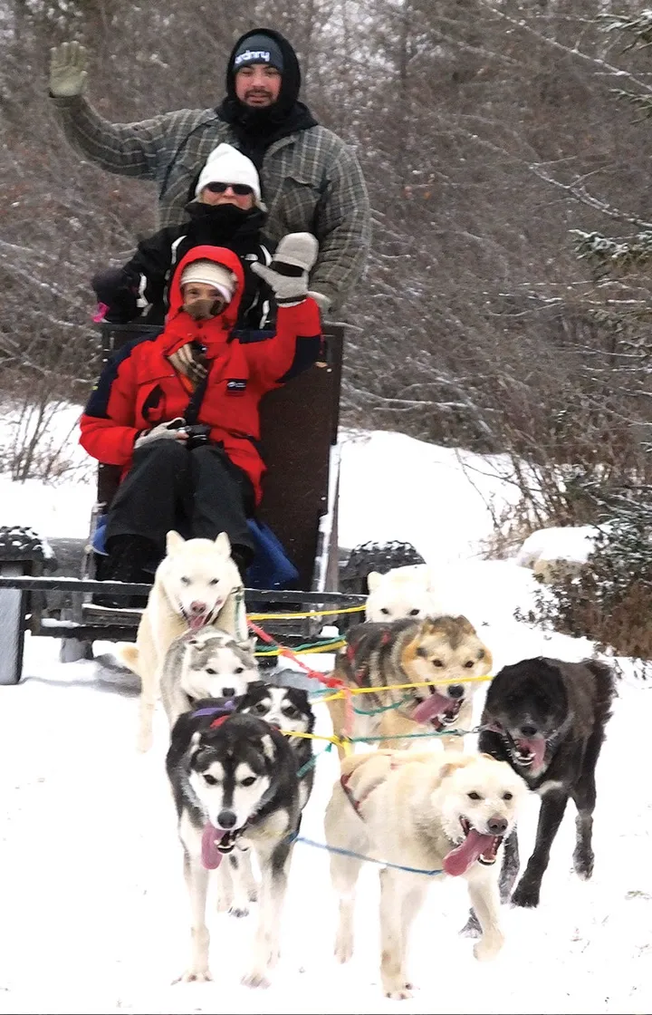 Polar Bear Adventure in Canada