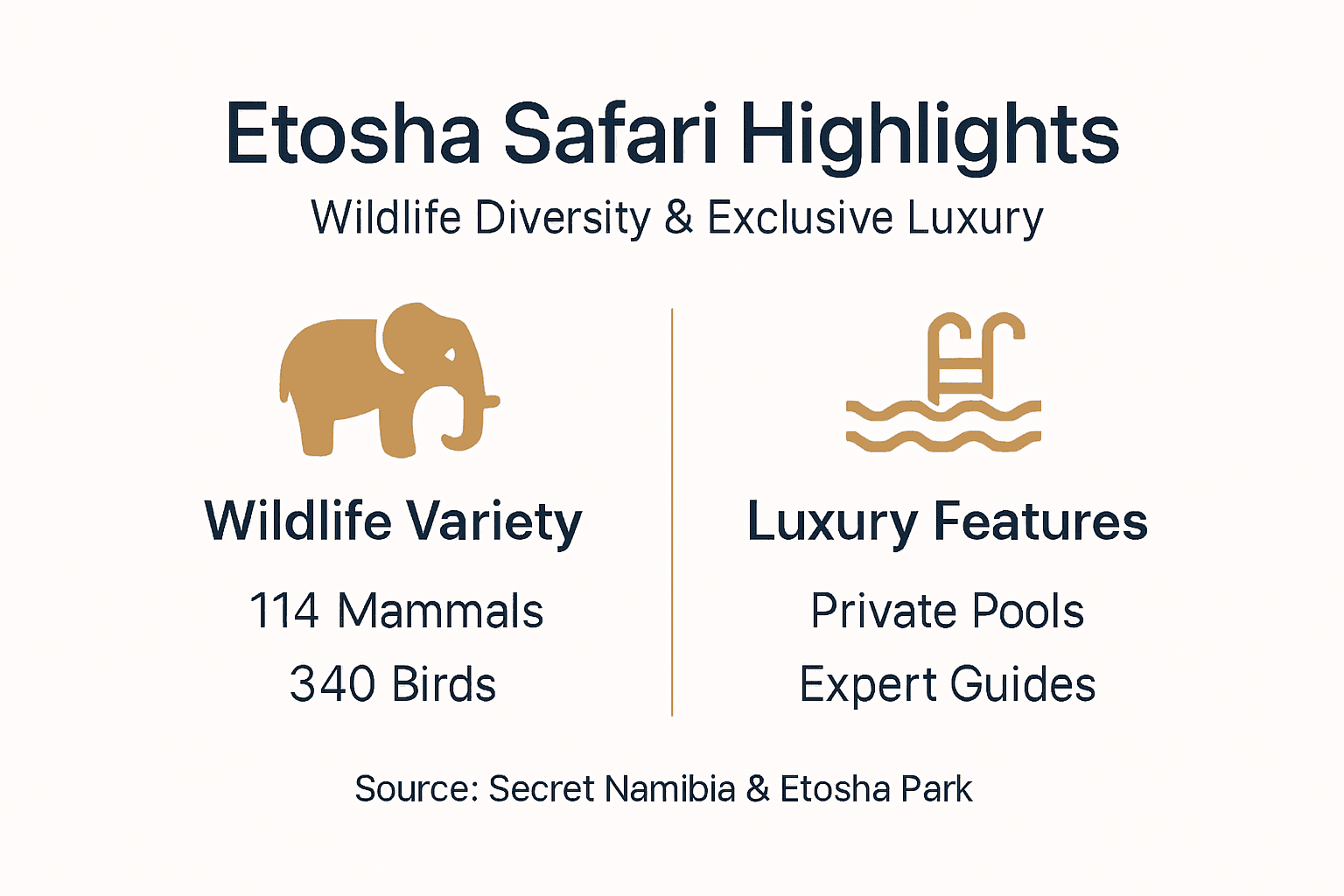 Infographic of Etosha’s wildlife and luxury offerings
