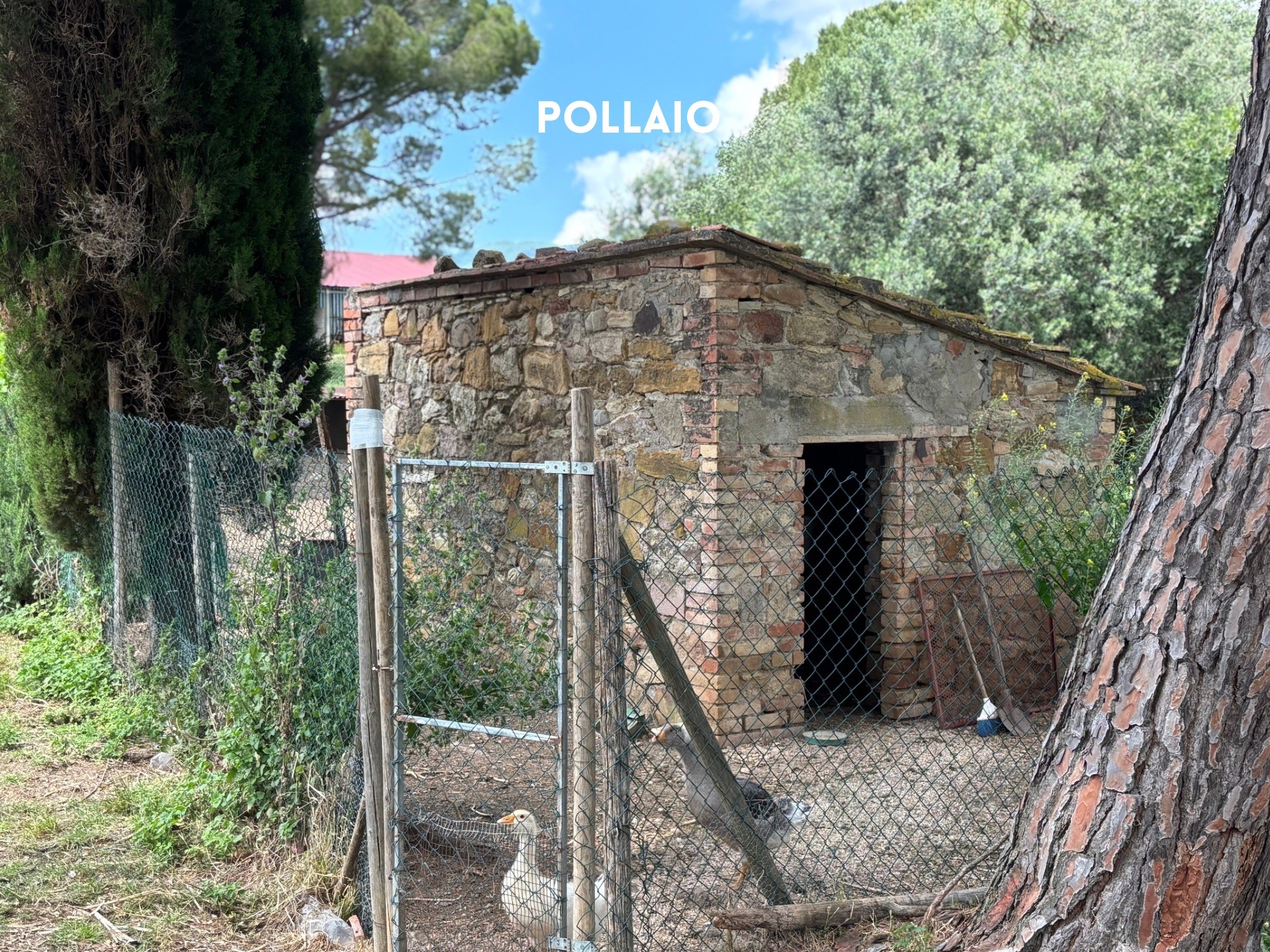Casale Vista Provenza, Roccatederighi, Maremma Toscana
