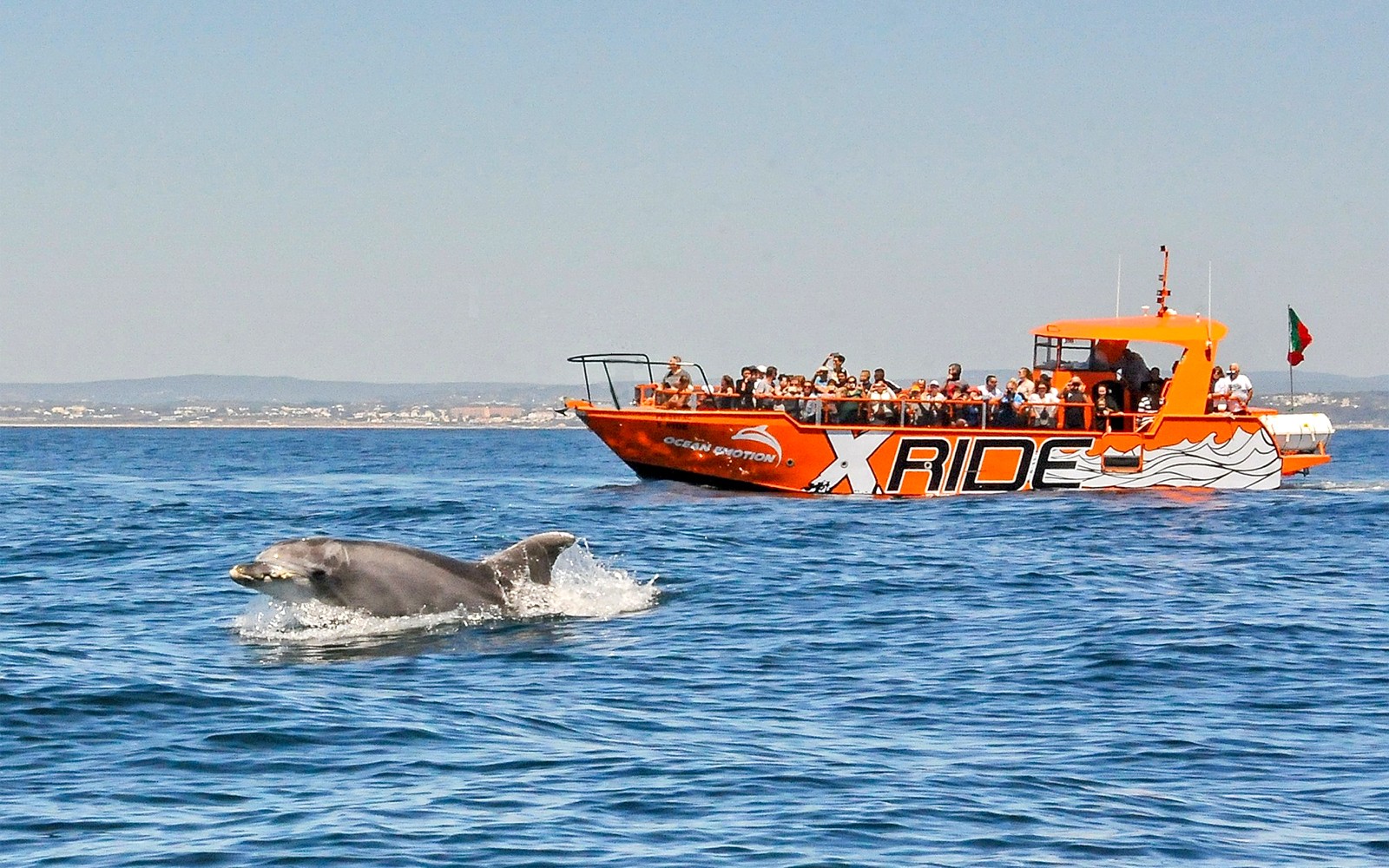 Boat tour with tourists watching a dolphin near Albufeira on the Benagil Caves and Dolphin Watching tour.