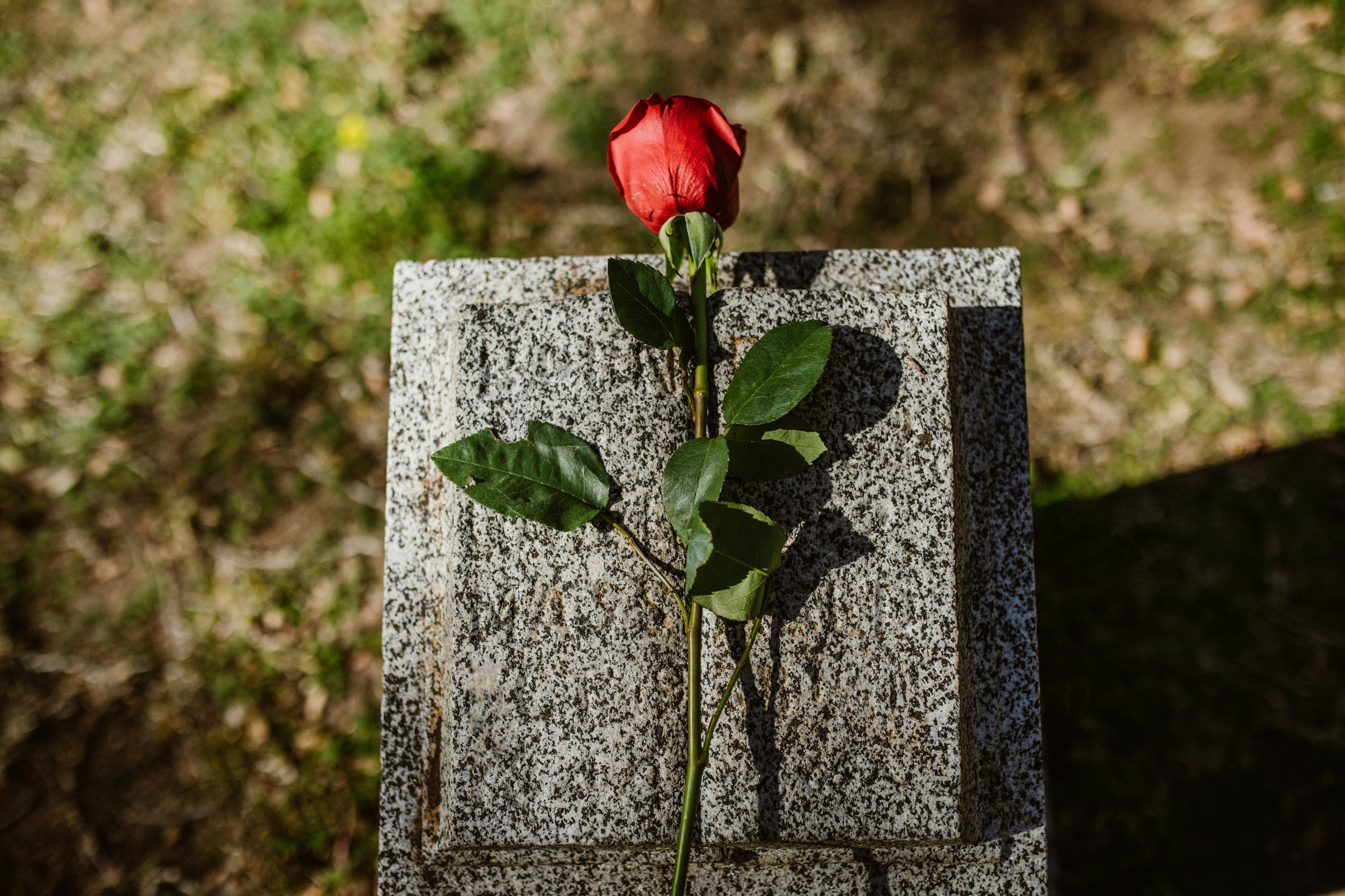 Grief Counselling