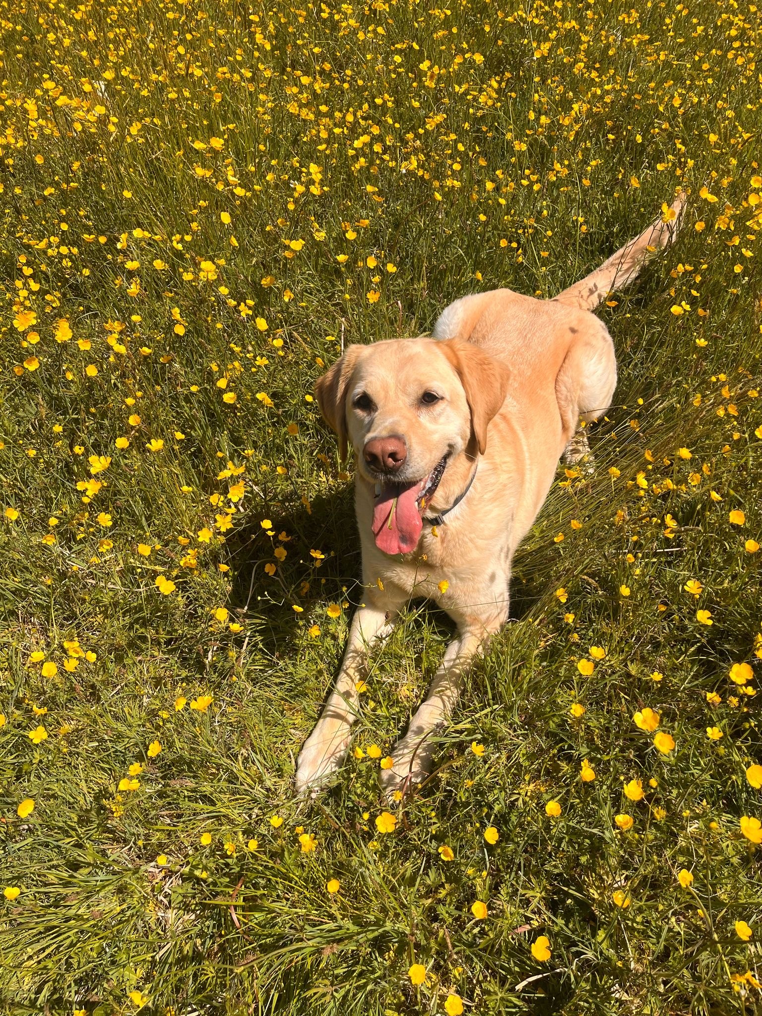 Outdoor Café Seating in a Sunlit Alley