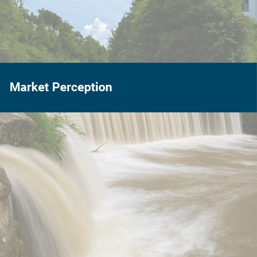 ecosbr market perception and its response