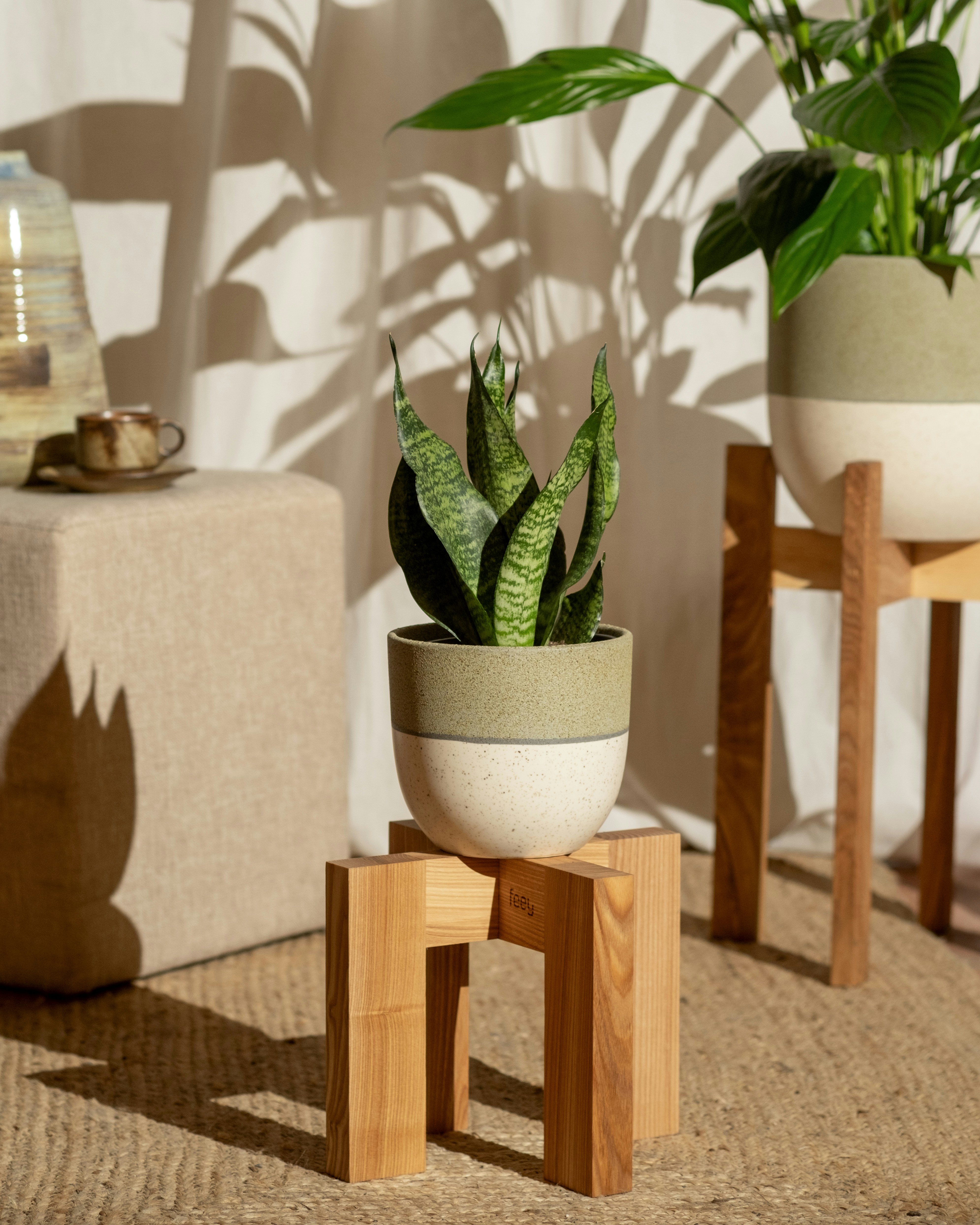 Two potted plants sitting on wooden blocks in a room