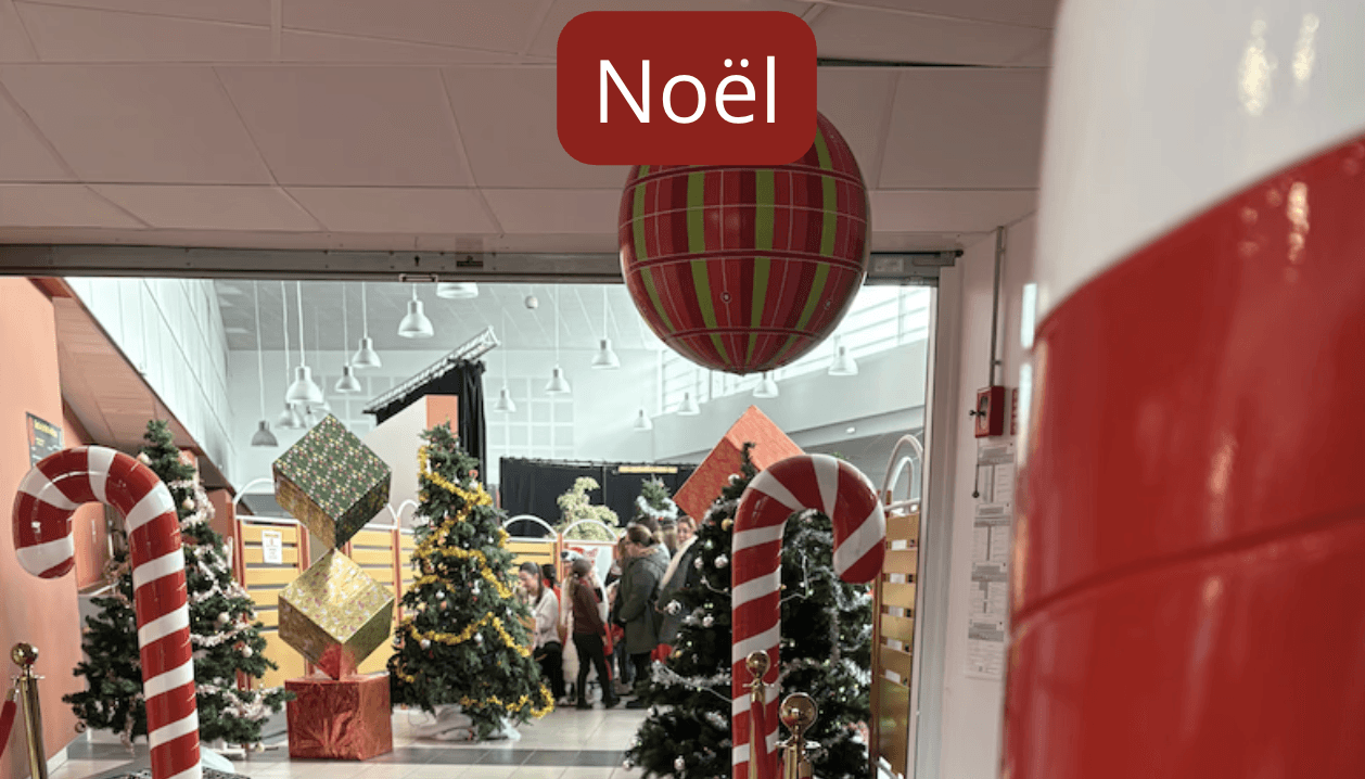 decor-soiree-theme-noel.jpg