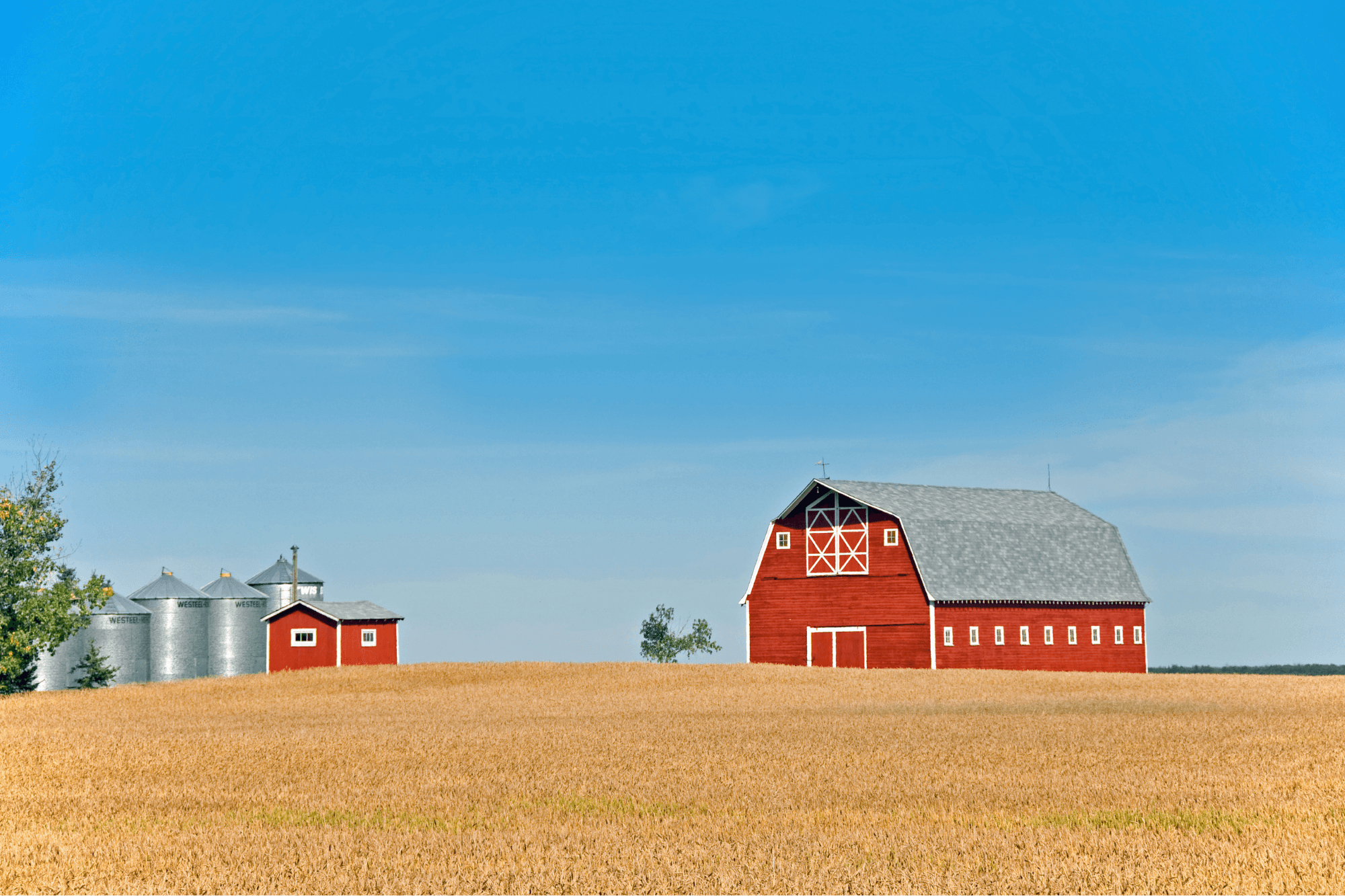 people working on farm