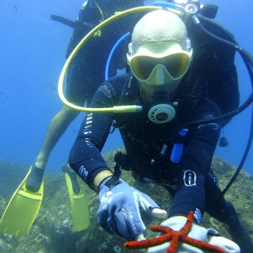 Boletos para la experiencia de buceo en las Islas Ciclopeas en Aci Castello