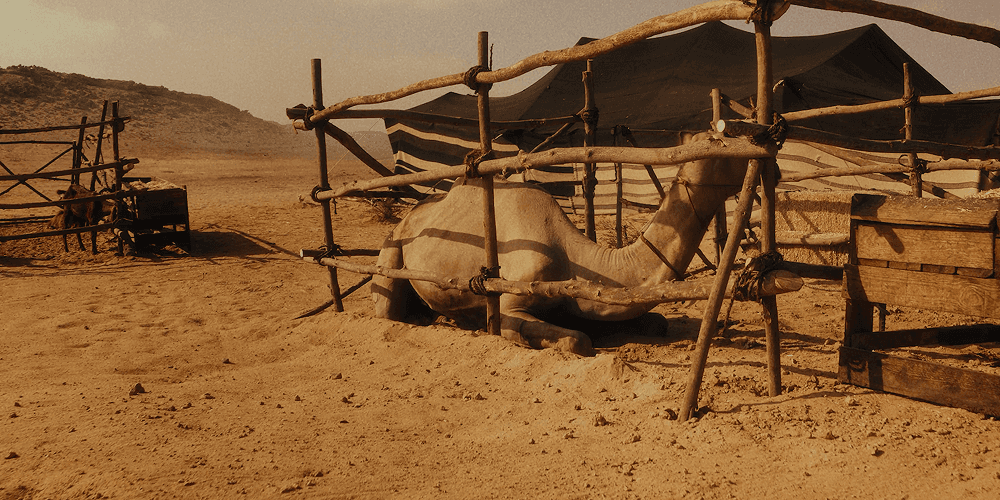 تصوير فيلم شركات في السعودية – استوديو بريزم