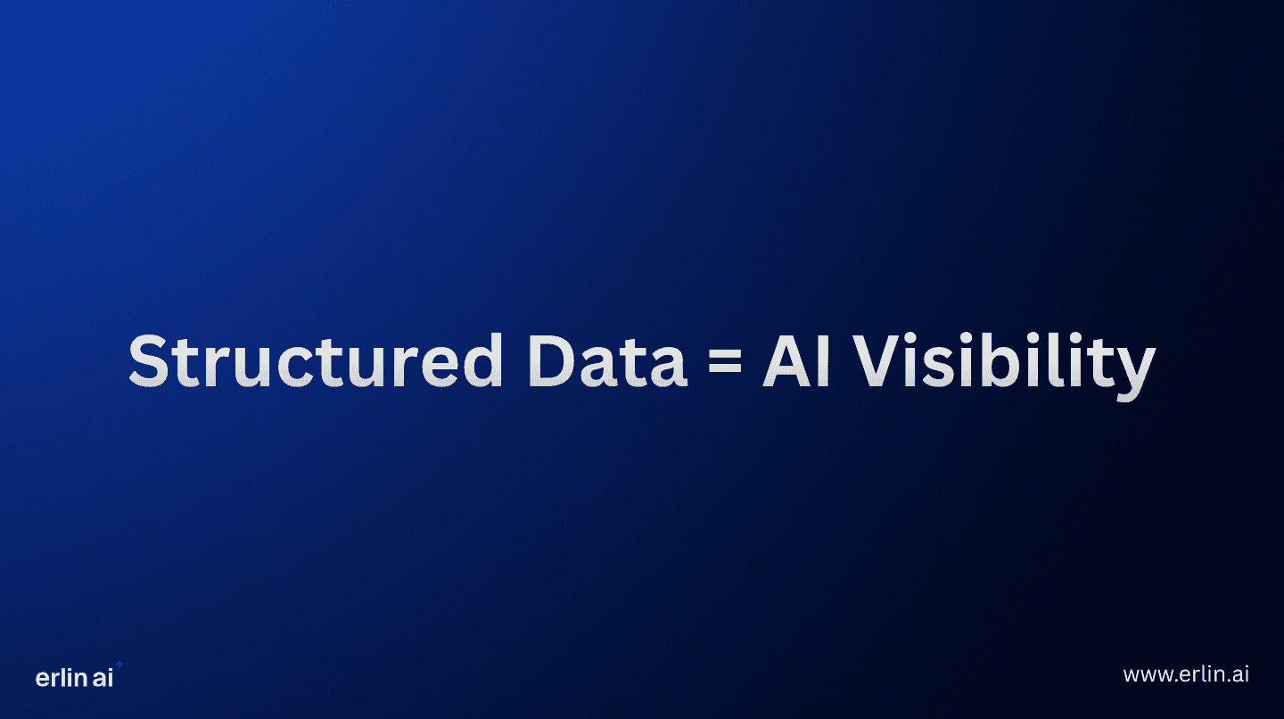 schema for AI visibility