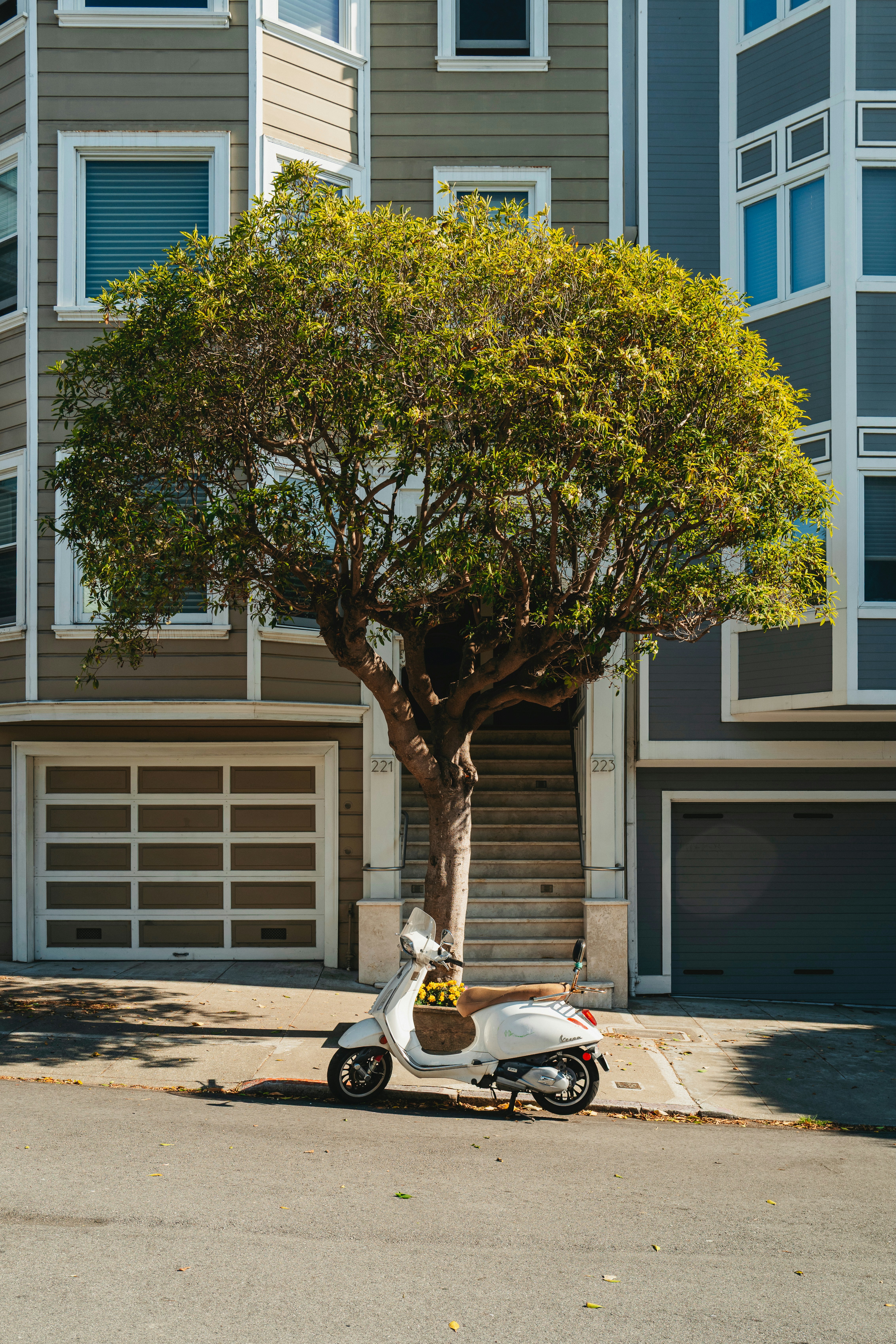White scooter parked under a tree on street