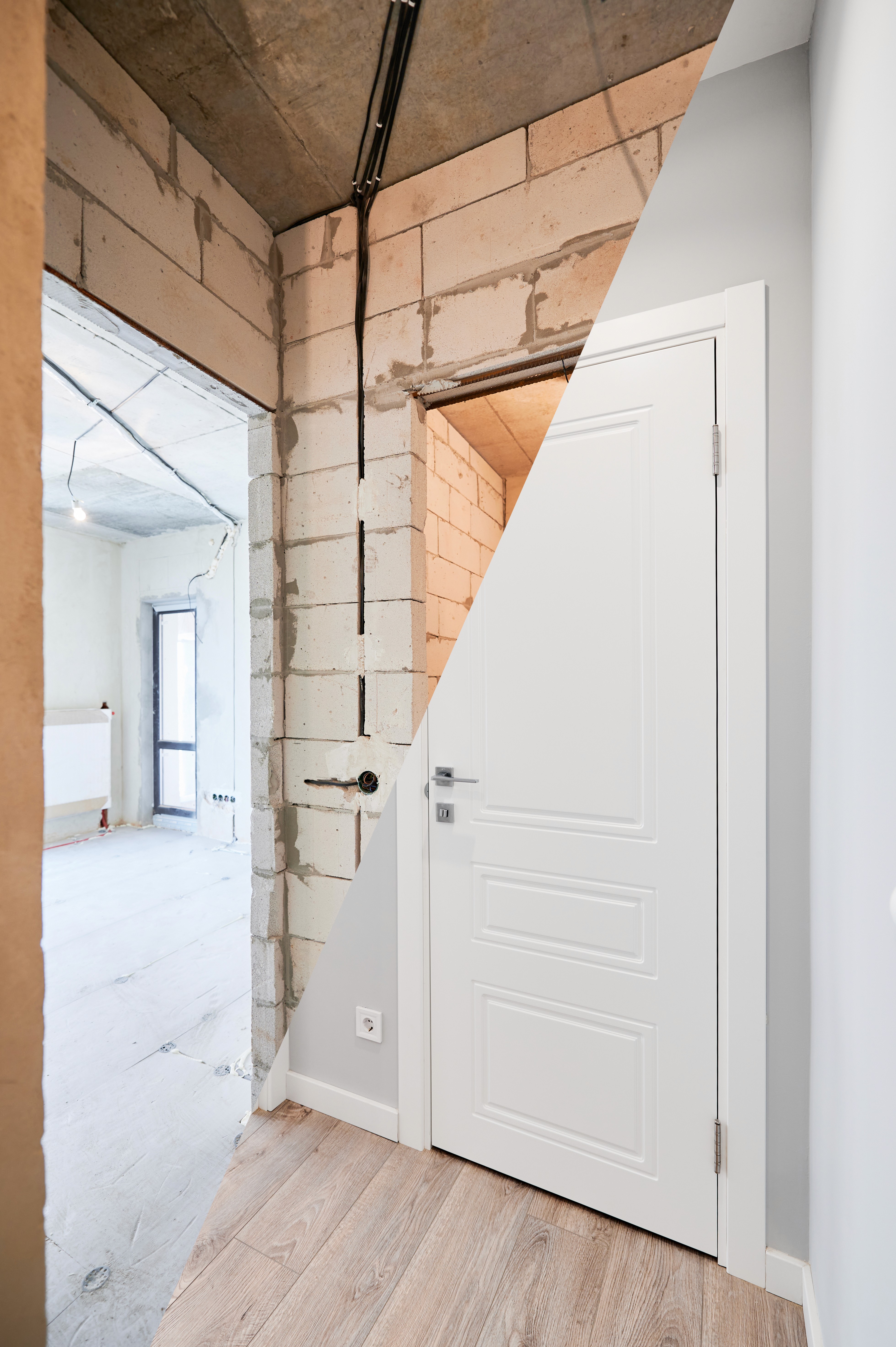 Close-up of a tree stump showing growth rings and a textured brown wood surface.