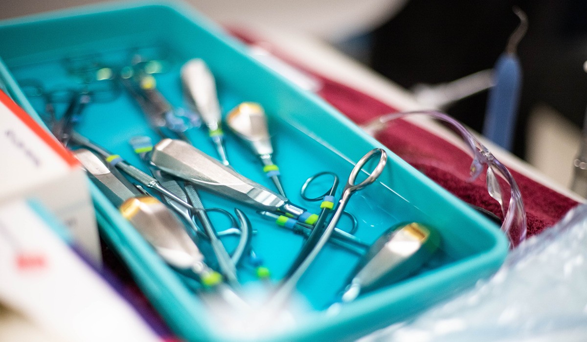 How to Market Pet Dental Health Month