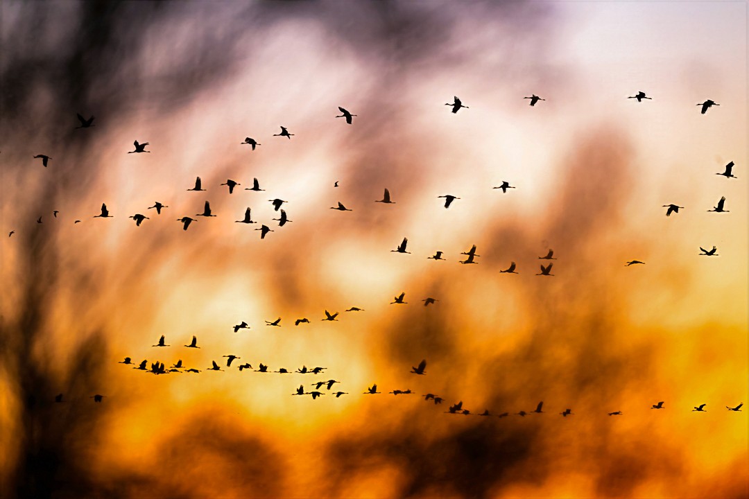 Retour vers le dortoir