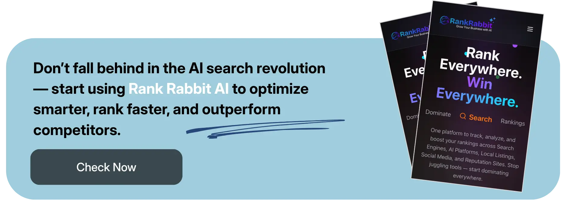 Banner for Rank Rabbit AI local search optimization platform.