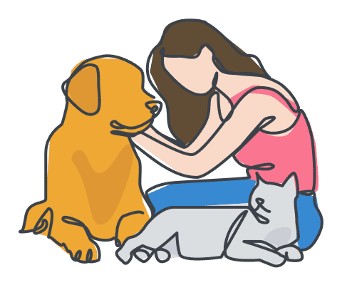 Pet Care during the day