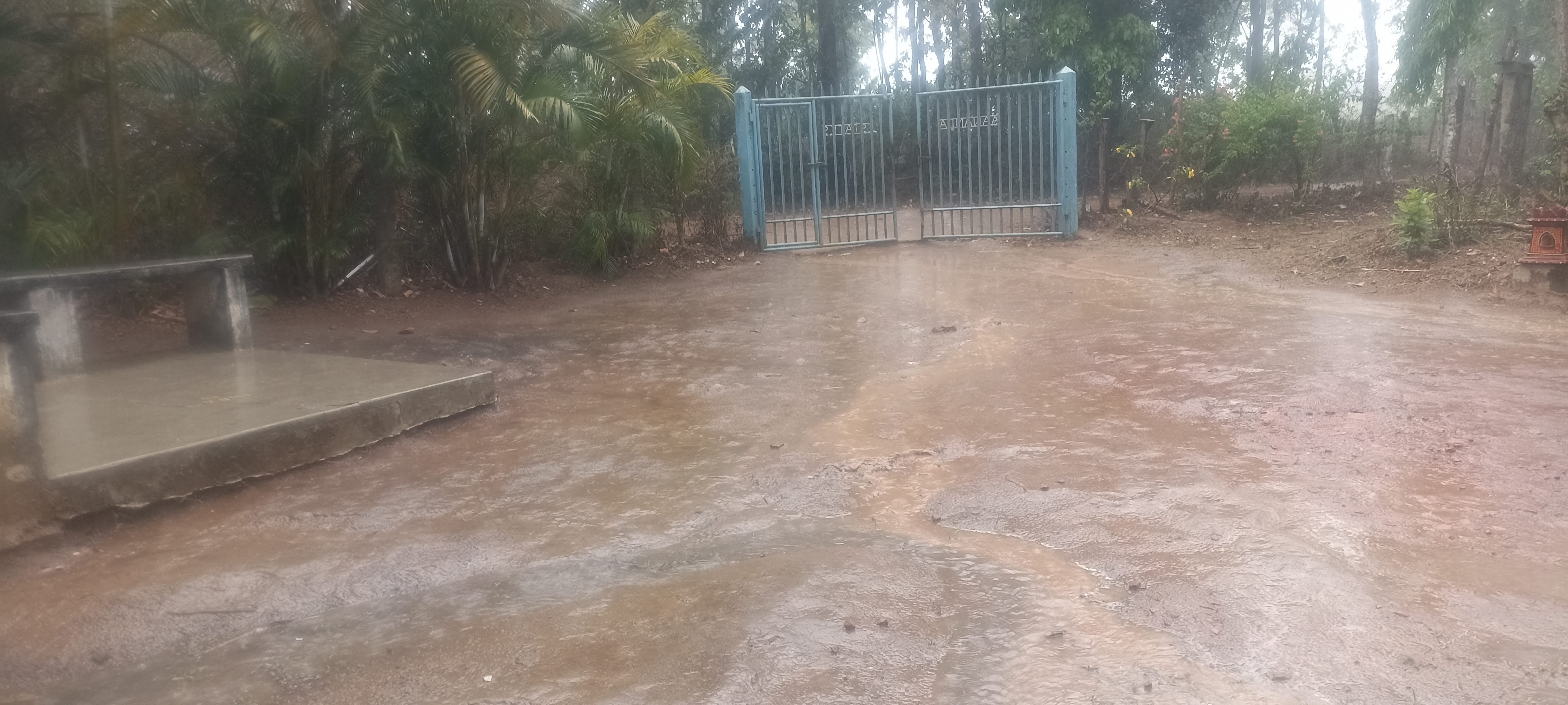 Sannidhi Officially Registered the land