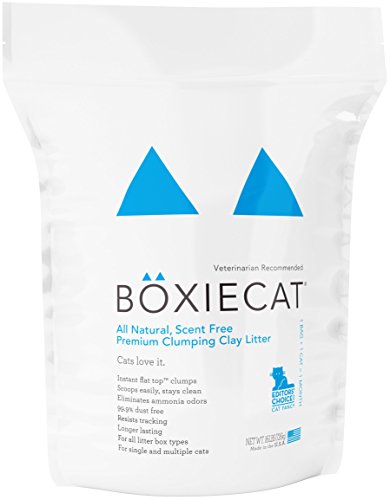 Boxiecat Premium Clumping Clay Cat Litter, 16-pounds