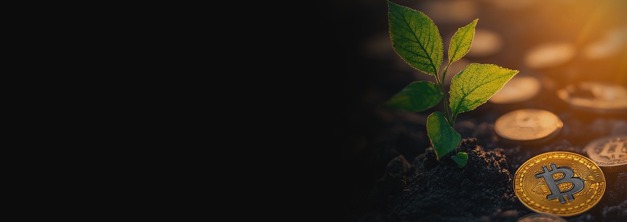 A plant growing alongside Bitcoin coins, symbolizing the impact of donations on financial inclusion in Sri Lanka.