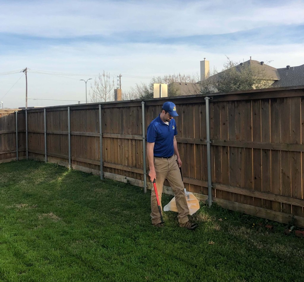 A Scoopers employee diligently scouring a lawn for poop to make sure its completely clean.