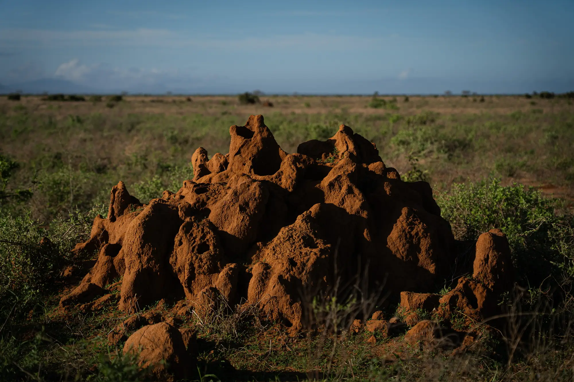 Usahili Tour in Kenya