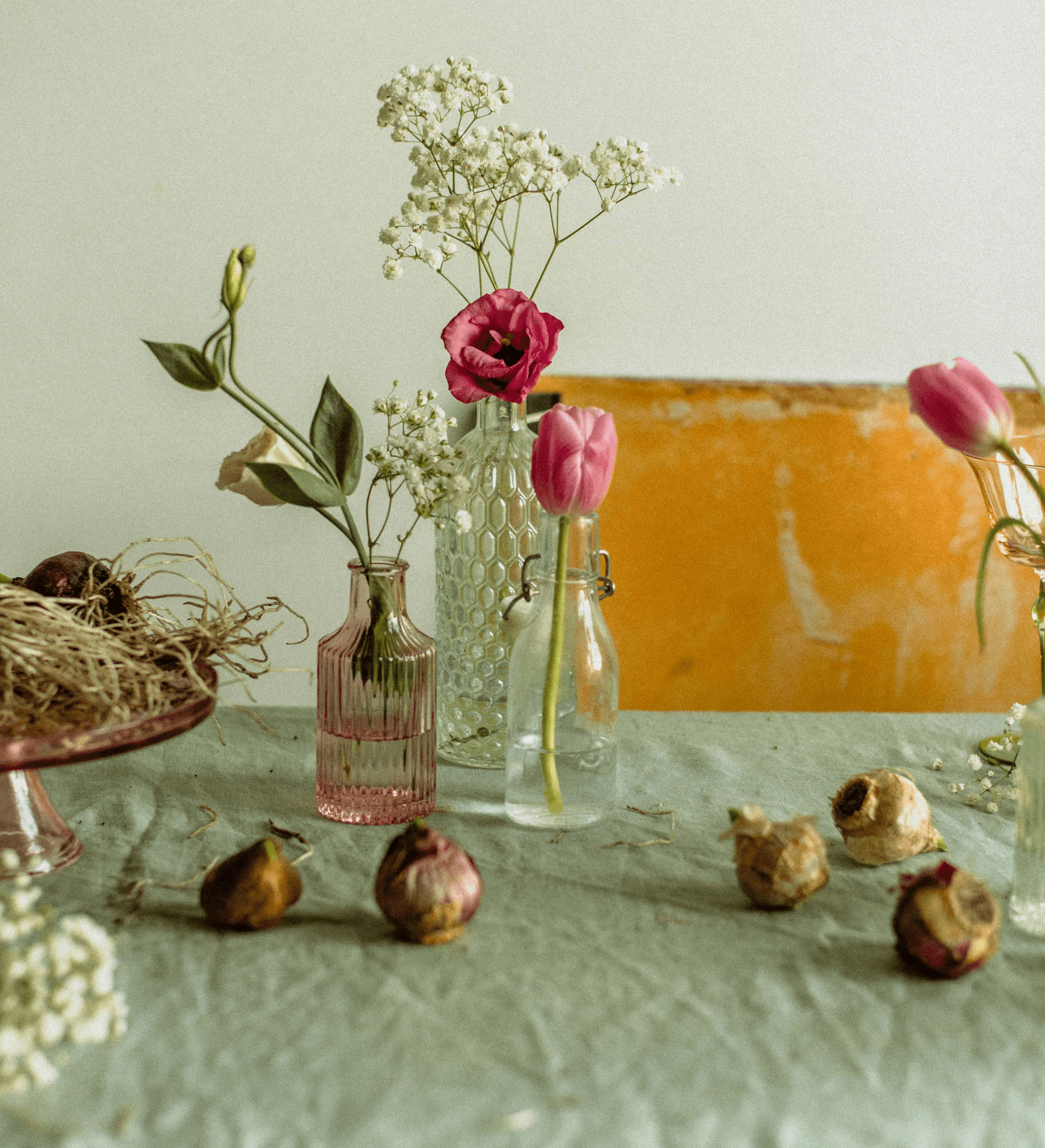 Flowers in vases with bulbs on a table