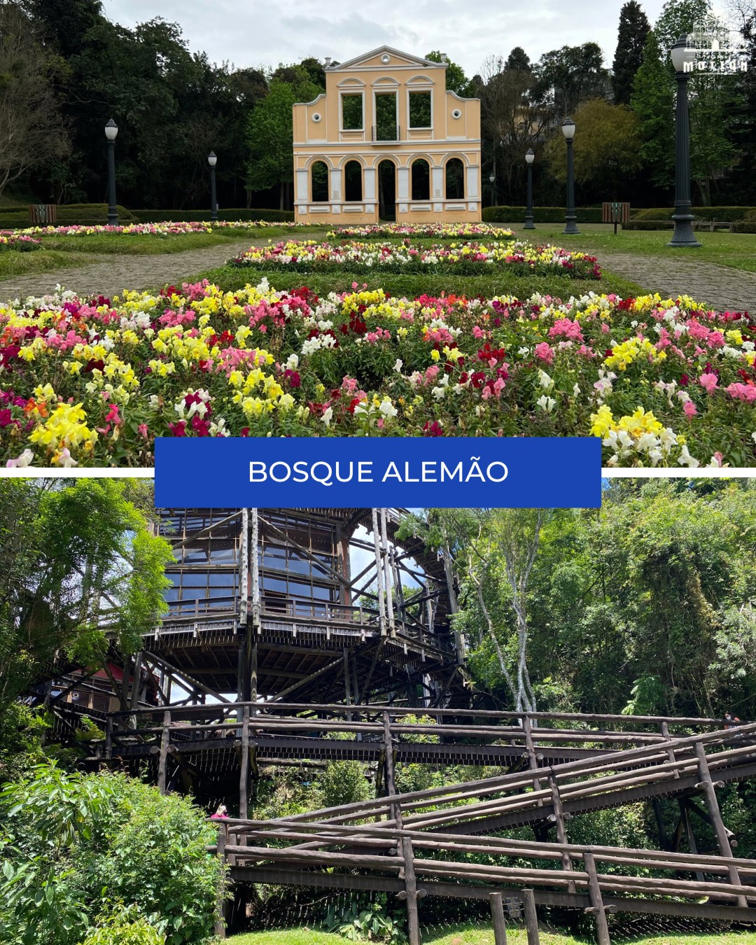 Bosque Alemão  - Motion Turismo