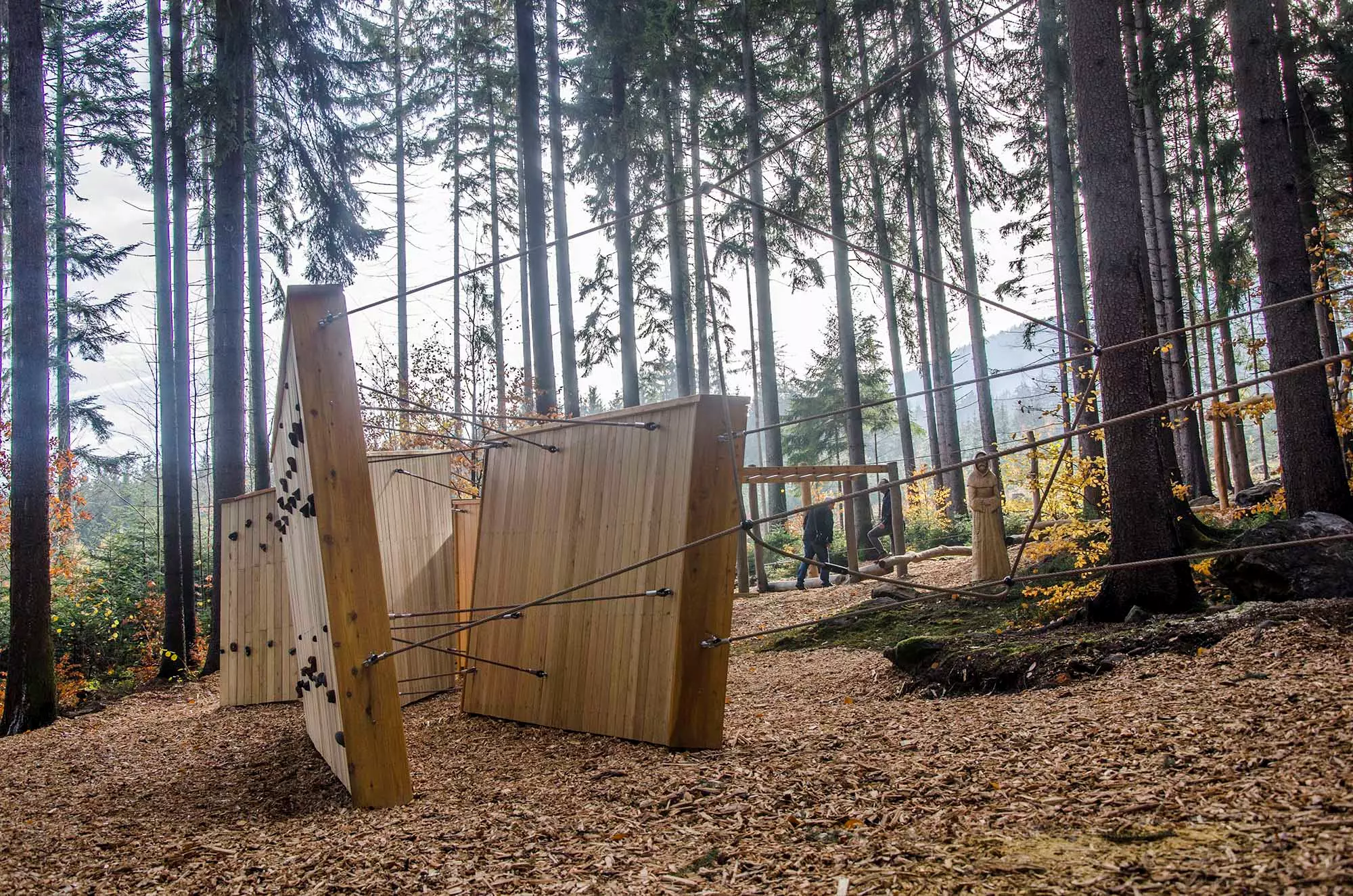 Here comes the alt text