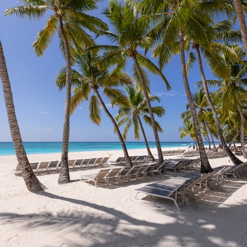 Saona Island: Classic Tour tickets in Punta Cana