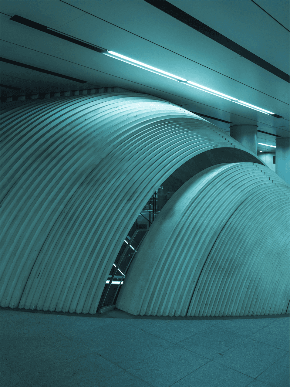 Photograph by Dariusz Prolejko — Cityutopico project (Tokyo architecture, liminal zone)