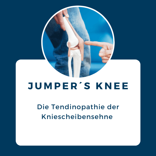 Sportphysio Icon