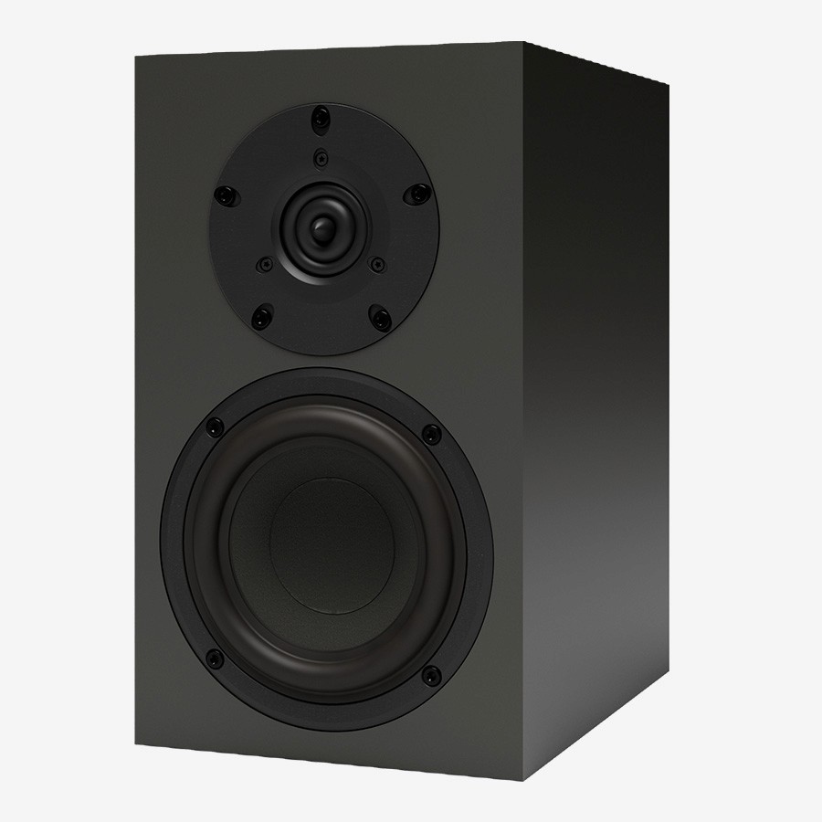 Dark grey speaker with two drivers