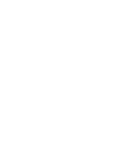 Dries Vanmierlo Media logo