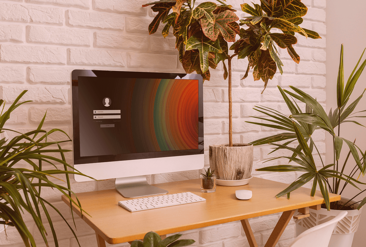 A modern desktop workspace featuring an Apple iMac on a wooden desk against a white brick wall, surrounded by lush green indoor plants. The computer screen displays a colorful, abstract login interface.