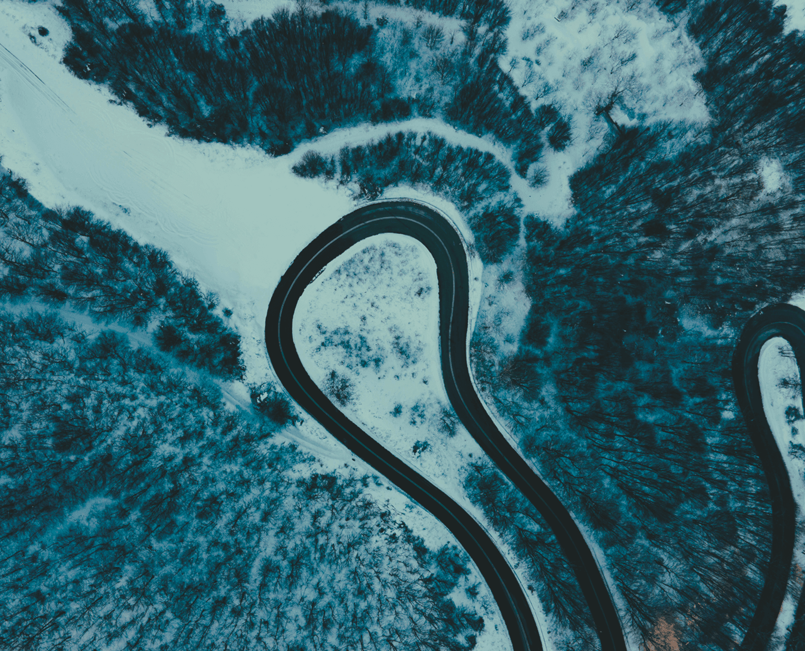 alpine-eagle-wasser